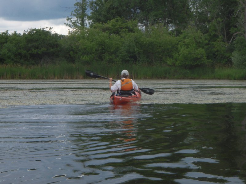 BusseWoodsKayak071809-7180032.jpg - Kayaking Busse Lake