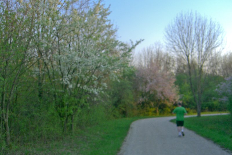 DanadaBikeTrail050509-1571.jpg - Danada Forest Preserve Bike Trail