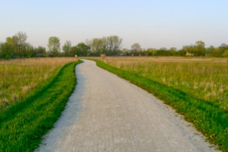 DanadaBikeTrail050509-1573.jpg - Danada Forest Preserve Bike Trail