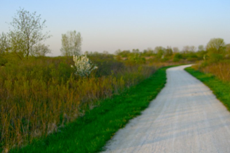 DanadaBikeTrail050509-1575.jpg - Danada Forest Preserve Bike Trail