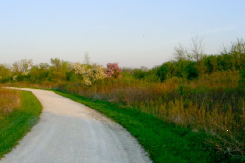 DanadaBikeTrail050509-1576.jpg - Danada Forest Preserve Bike Trail