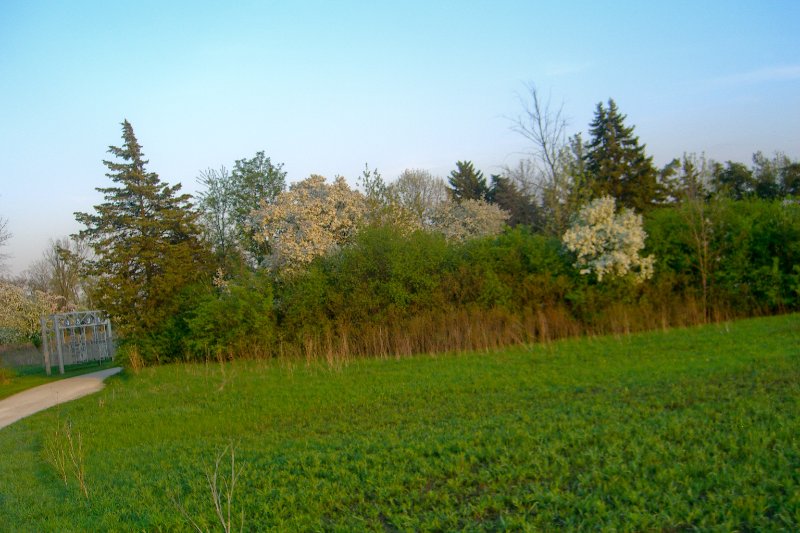 DanadaBikeTrail050509-1585.jpg - Danada Forest Preserve Bike Trail