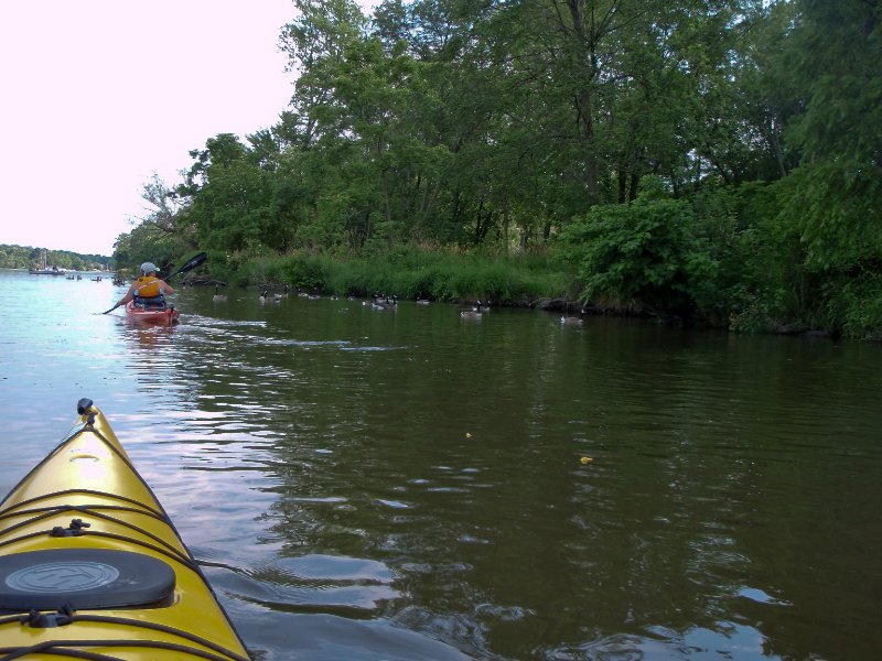 FoxRiverKayak070509-7050040.jpg - Kayak Fox River at Geneva