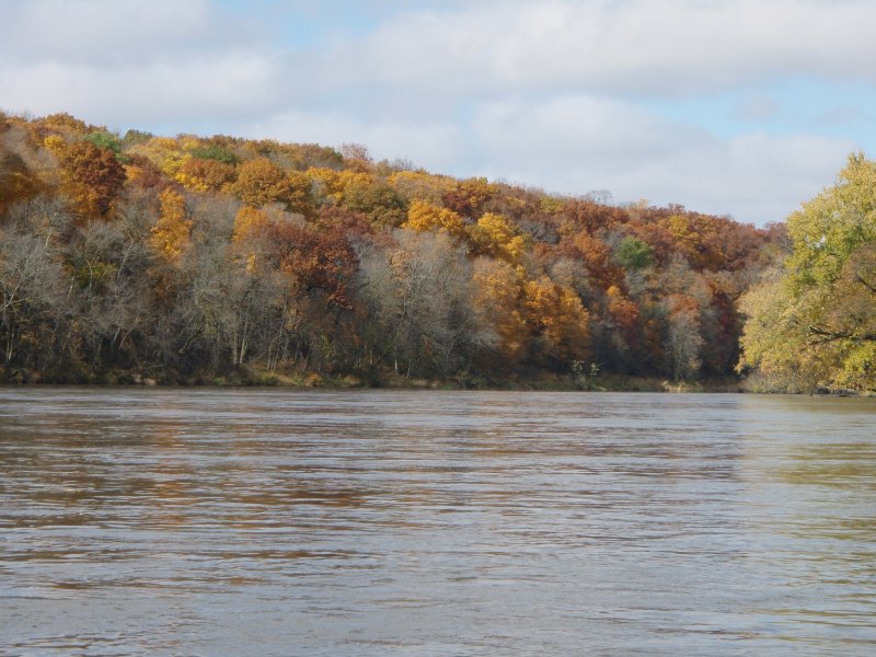 PA240023.jpg - Fox River Kayaking from Sheridan to Wedron