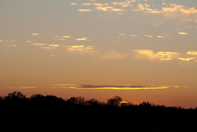 JasperPulaski110109-9955.jpg - Sandhill Cranes twilight flight to Jasper-Pulaski Fish and Wildlife Area