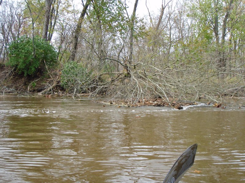 KankakeeRiver110109-010014.jpg - Water rushing by fallen tree.  Fast current 3-4mph