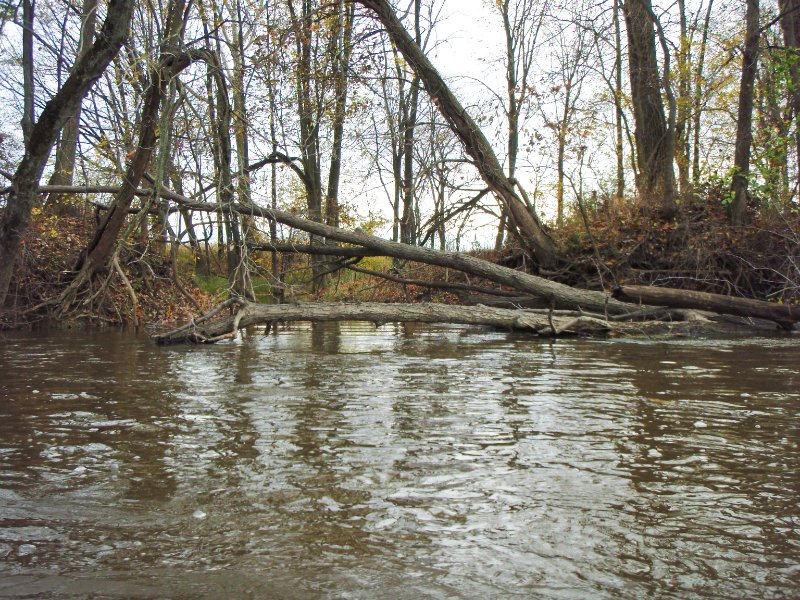 KankakeeRiver110109-010040.jpg - Kayak the Kankakee RIver from English Lake to Dunns Bridge