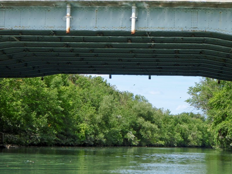 NorthShoreChannel-8020026.jpg - Swallows flying under the Church St Bridge