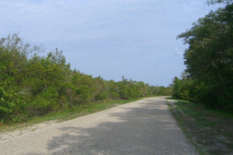 Captiva052409-1632.jpg - Wildlife Drive