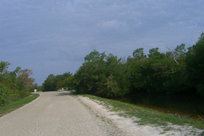 Captiva052409-1633.jpg - Wildlife Drive