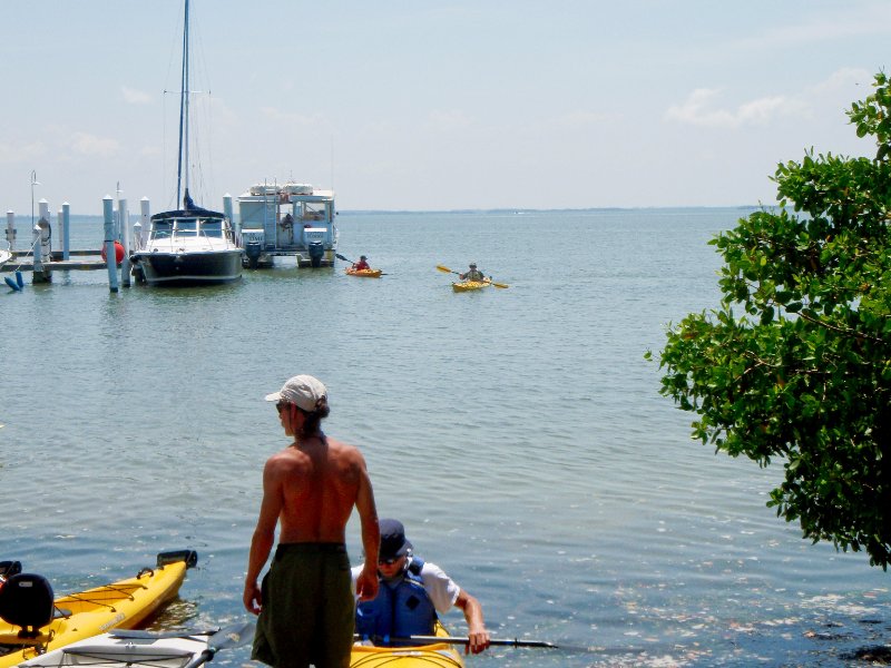 Captiva052409-5270063.jpg - Kayaking from McCarthy Marina to Blind Pass