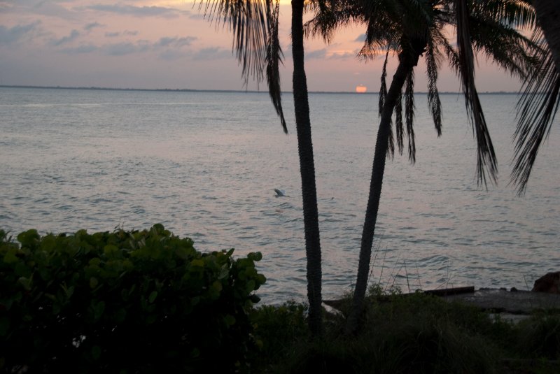 Captiva052409-7375.jpg - Redfish Pass Sunrise