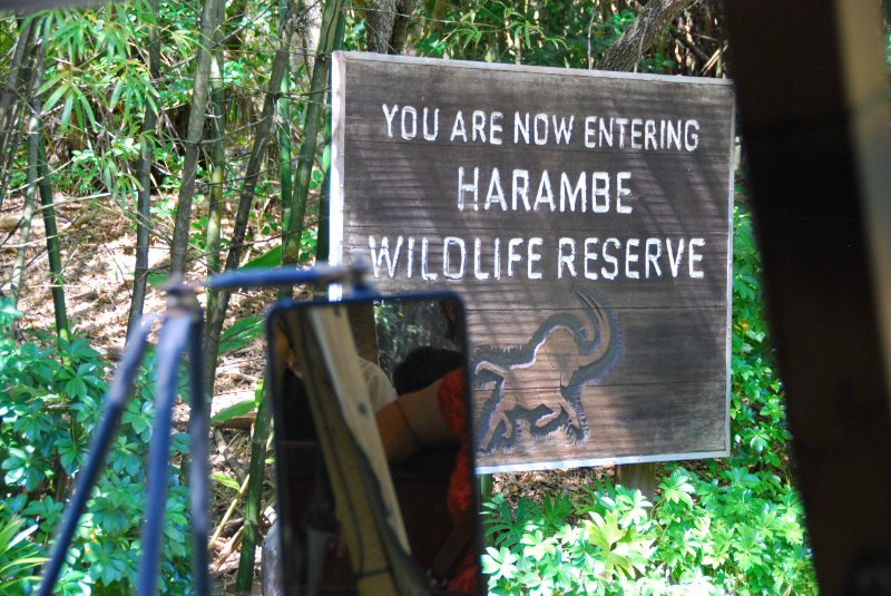 DisneyWorld022709-3153.jpg - Kilimanjaro Safaris