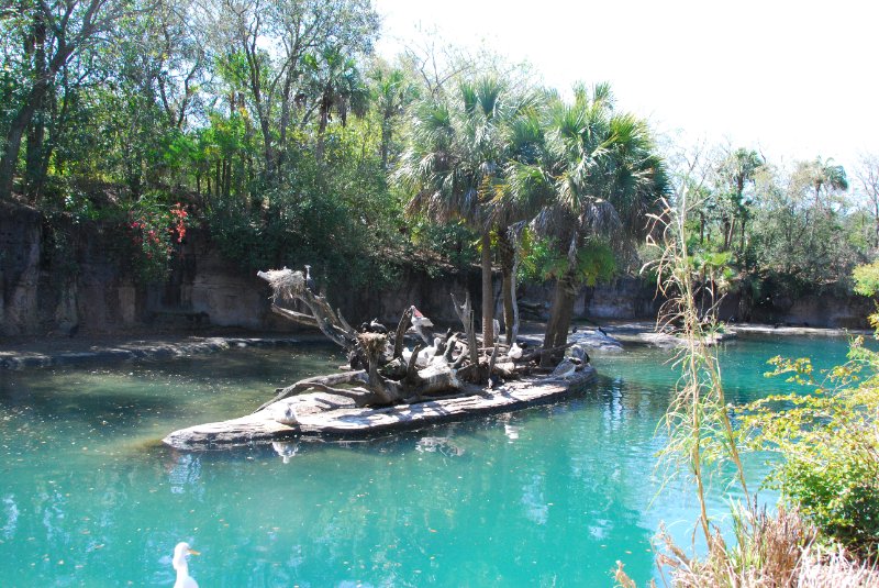 DisneyWorld022709-3164.jpg - Kilimanjaro Safaris