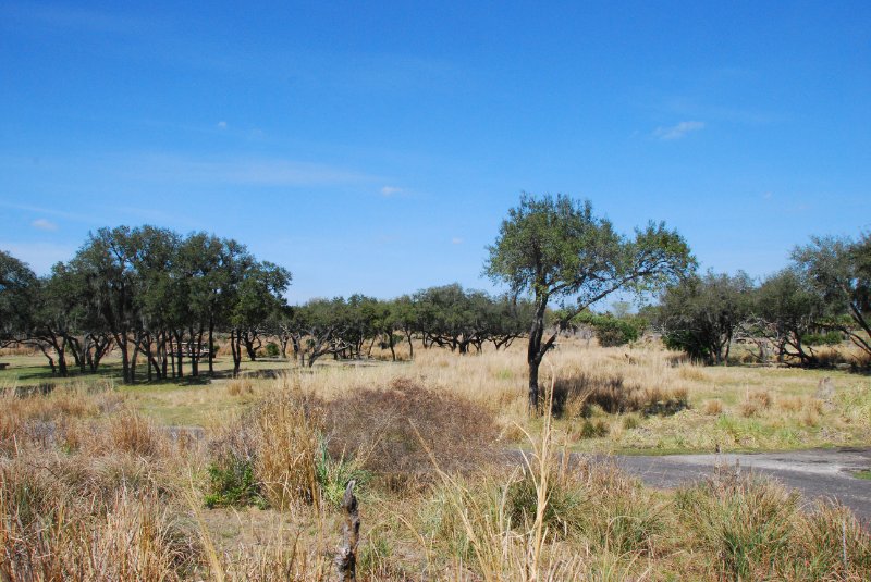 DisneyWorld022709-3183.jpg - Kilimanjaro Safaris