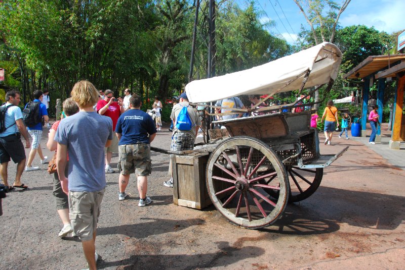 DisneyWorld022709-3101.jpg - Animal Kingdom - Asia