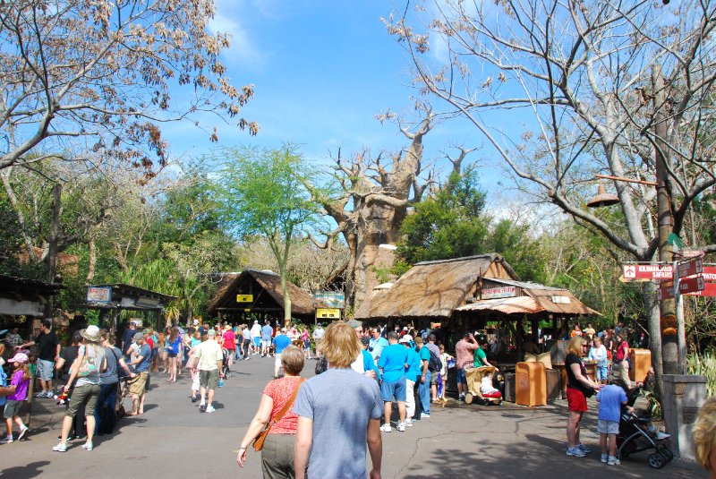 DisneyWorld022709-3137.jpg - Animal Kingdom