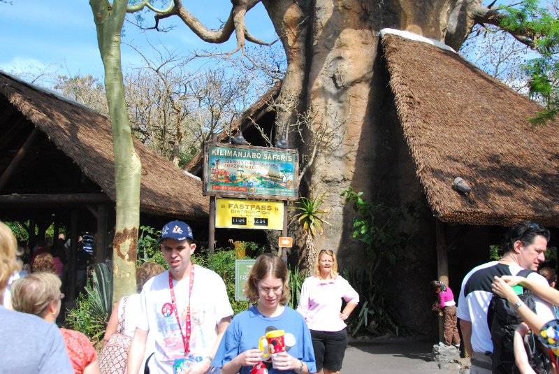 DisneyWorld022709-3138.jpg - Animal Kingdom