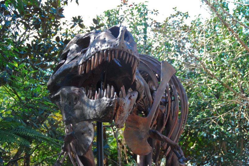 DisneyWorld022709-3292.jpg - Tyrannosaurus Rex - "Sue"