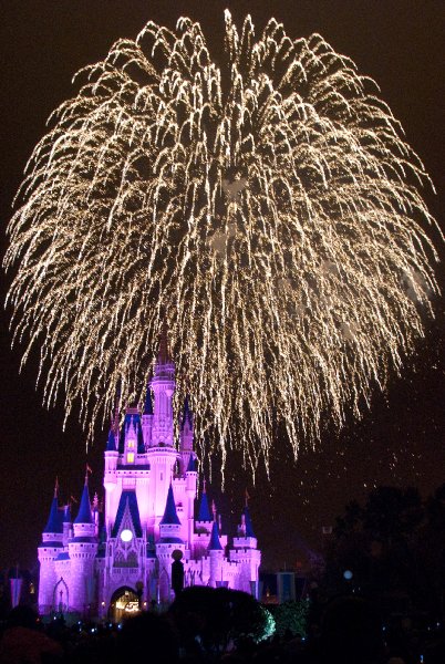 DisneyWorld022709-3471.jpg - Magic Kingdom - "WISHES" Fireworks Show