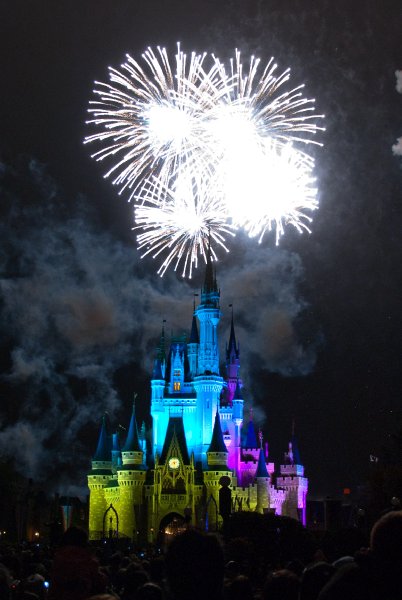 DisneyWorld022709-3473.jpg - Magic Kingdom - "WISHES" Fireworks Show