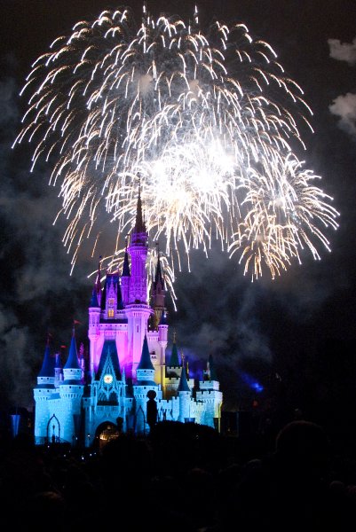 DisneyWorld022709-3474.jpg - Magic Kingdom - "WISHES" Fireworks Show