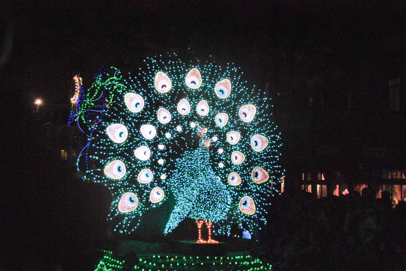 DisneyWorld022709-3385.jpg - Magic Kingdom - "Spectromagic" - Evening Parade