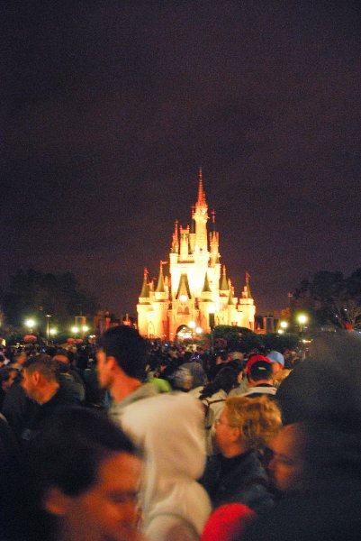 DisneyWorld022709-3431.jpg - Magic Kingdom - "WISHES" Fireworks Show