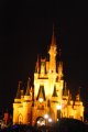 DisneyWorld022709-3430