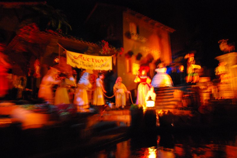 DisneyWorld022709-2923.jpg - Pirates of the Caribbean