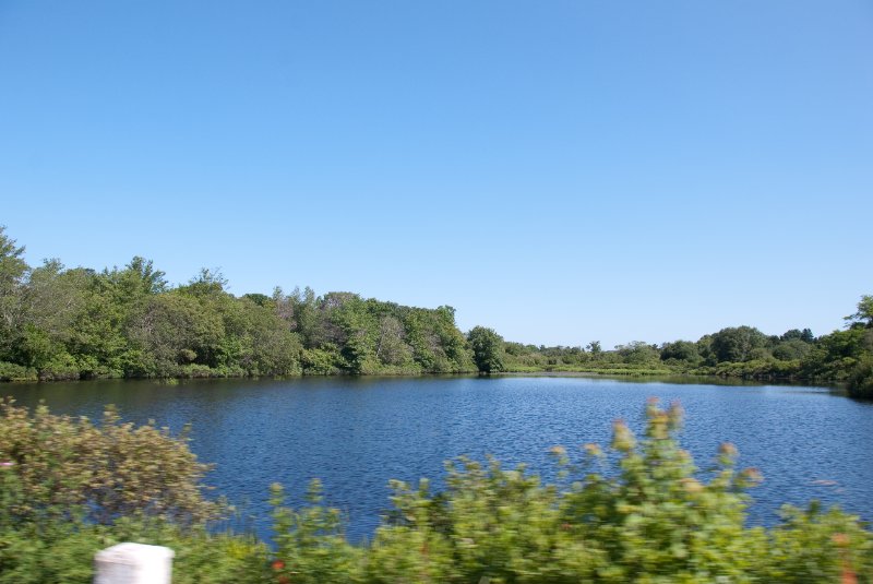 DSC_7688.jpg - Old Mill Pond on Edgartown W Tisbury Rd