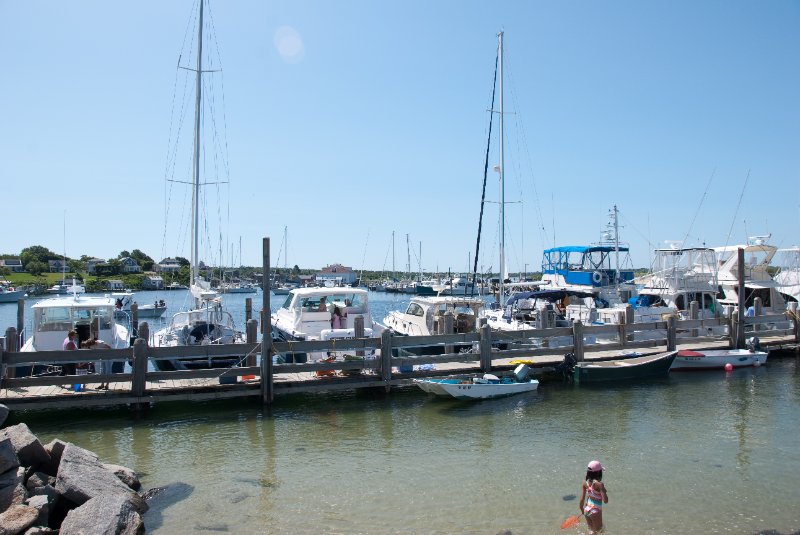 DSC_7741.jpg - Menemsha Harbour