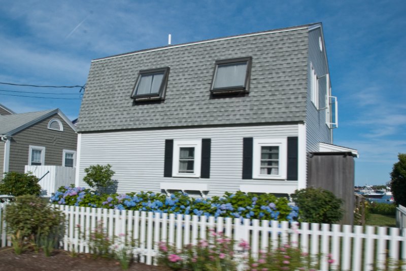 DSC_7803.jpg - Blue Hydrangea (beautiful) on E Chop Drive, Oak Bluffs.