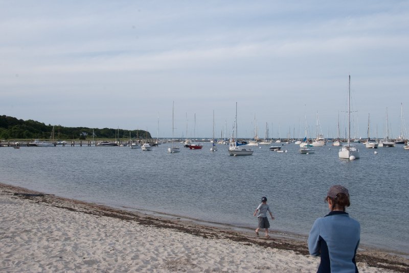 DSC_7898.jpg - Vineyard Haven Harbor.