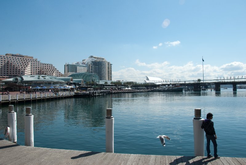 Sydney090209-9005.jpg - Looking North at Cockle Bay Harbourside, Pyrmont, Darling Harbour