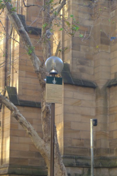 Sydney090209-1894.jpg - St Andrew's Cathedral