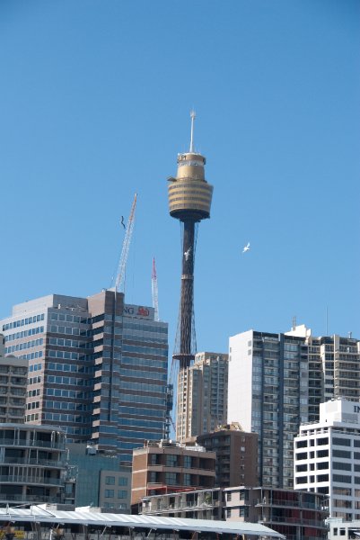 Sydney090109-9052.jpg - Sydney Tower. Ferry Ride from Maritime Museum  to Sydney Harbour Ferry Wharf