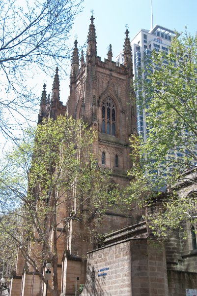 Sydney090209-9269.jpg - St Andrew's Cathedral