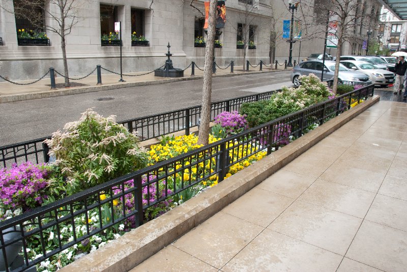 Chicago050109-6079.jpg - Flowers on N Garland Court