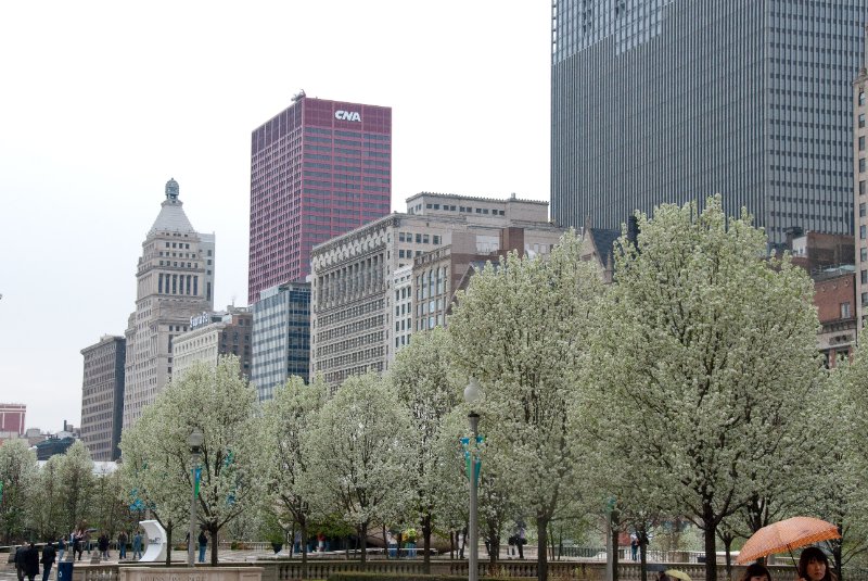 Chicago050109-6147.jpg - South Michigan Ave view from Millennium Park