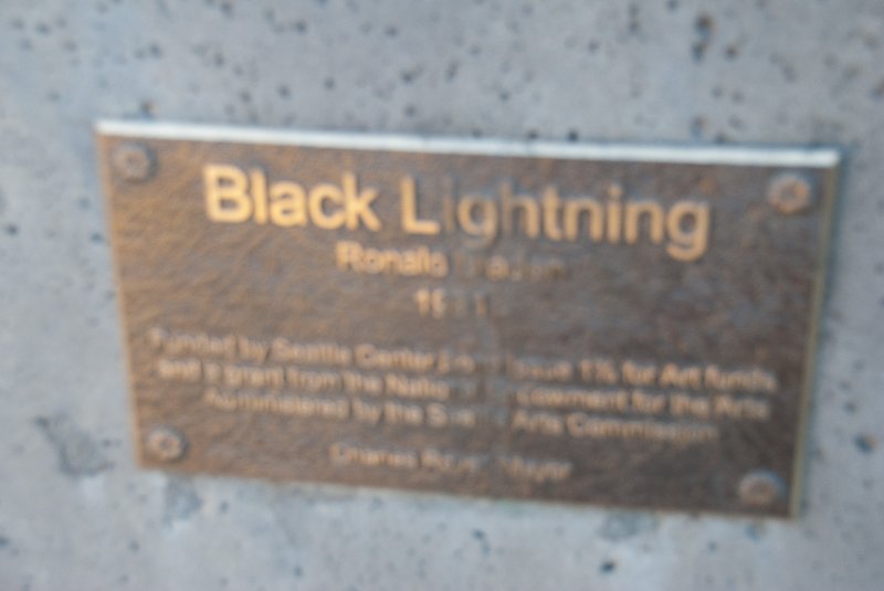 Seattle080309-8312.jpg - Black Lightning by Ron Bladen