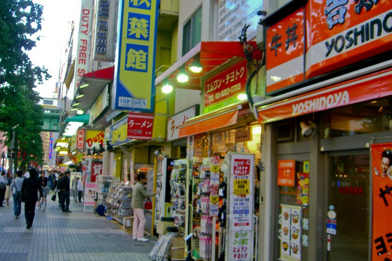 Tokyo051109-1611.jpg - Akihabara - Yoshidoya