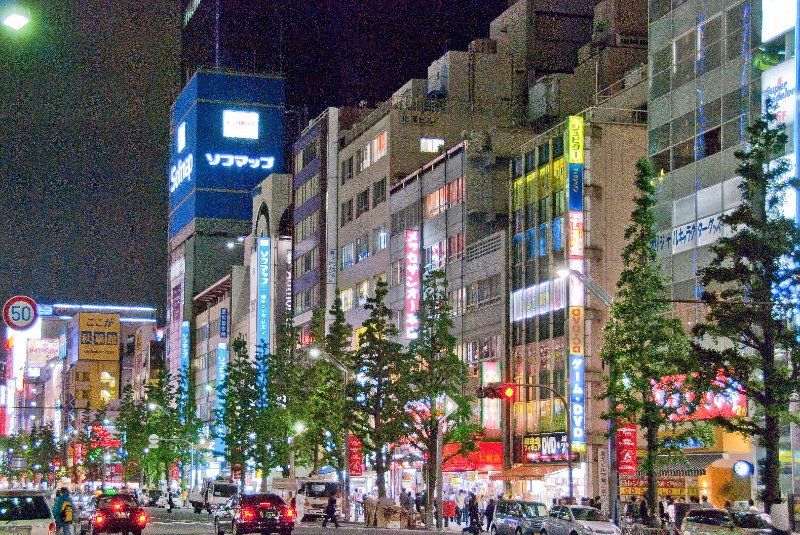 Tokyo051109-6520.jpg - Akihabara