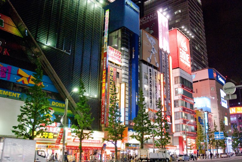 Tokyo051109-6528.jpg - Akihabara