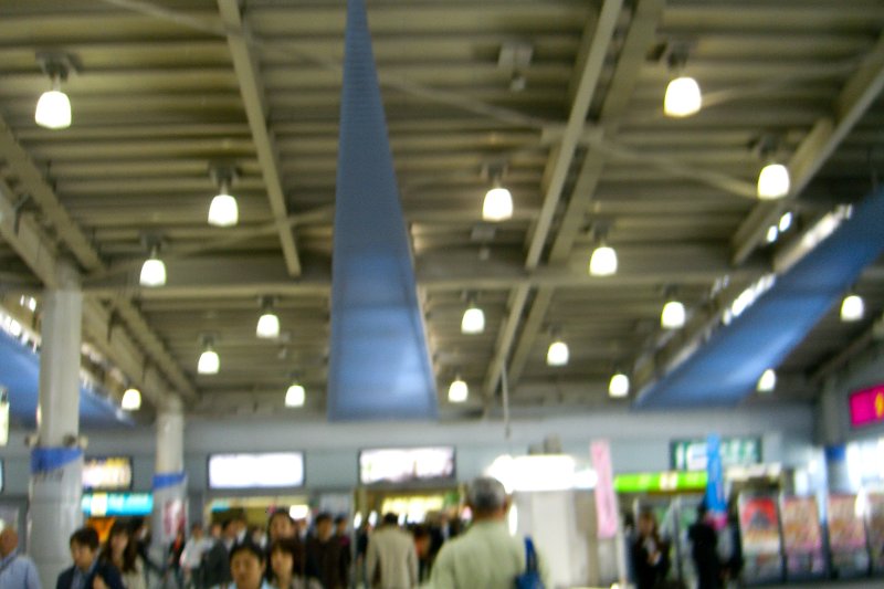 Tokyo051109-1599.jpg - Shinagawa Station