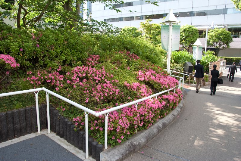 Tokyo051109-6445.jpg - Shinagawa Walkway, Flowers