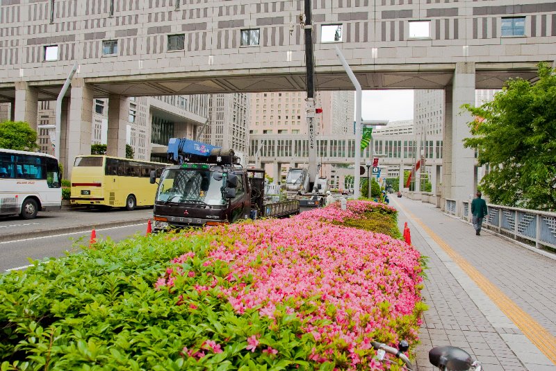 Tokyo051109-6640.jpg - Tokyo Metropolitan Assembly Bldg flowerd boulevard