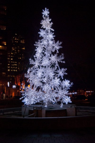 DSC_0379nn.jpg - Christmas Tree in Berczy Park