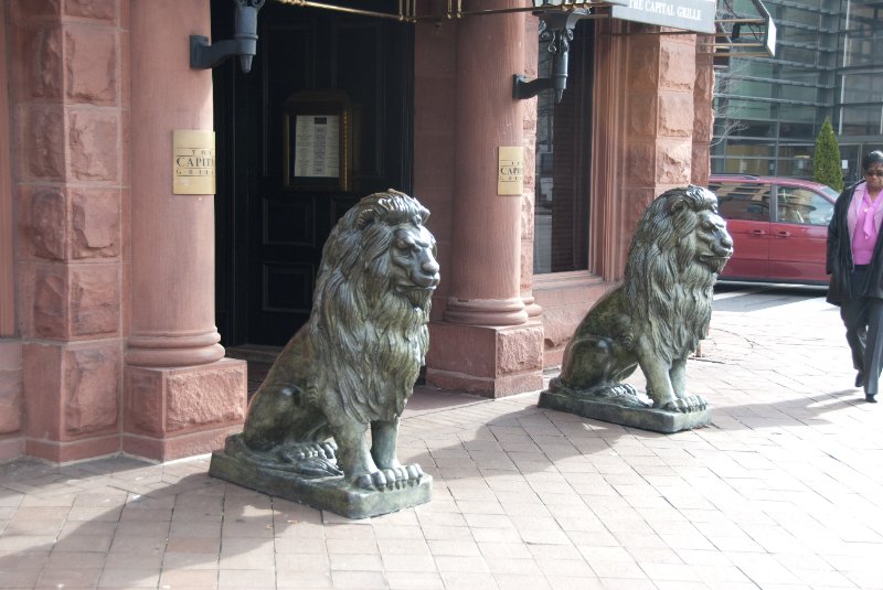 WashDC032709-4200.jpg - Lions at Capital Grille