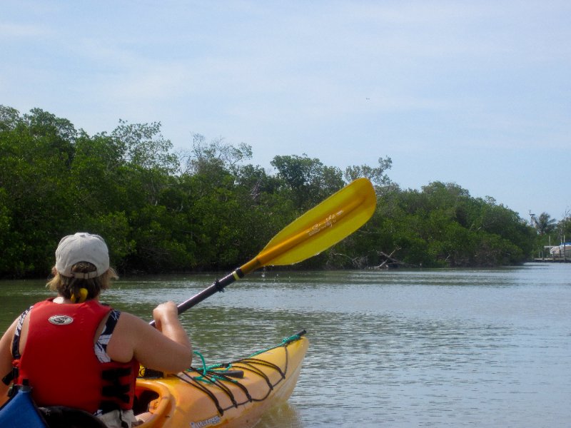 Captiva051310-0679.jpg - Kayaking Captiva:  Buck Key